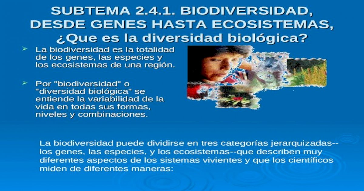 Subtema 241 Biodiversidad Desde Genes Hasta Ecosistemas ¿que Es La