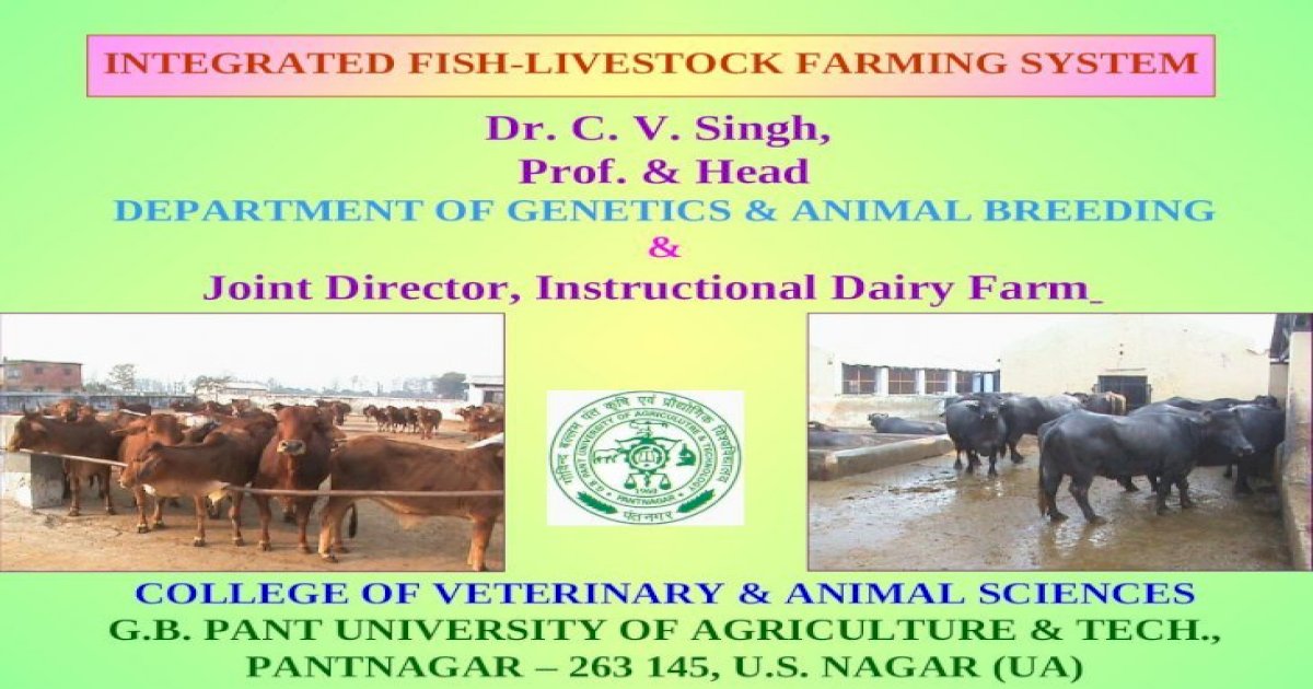 Integrated Fish-Livestock Farming System - [PPT Powerpoint]