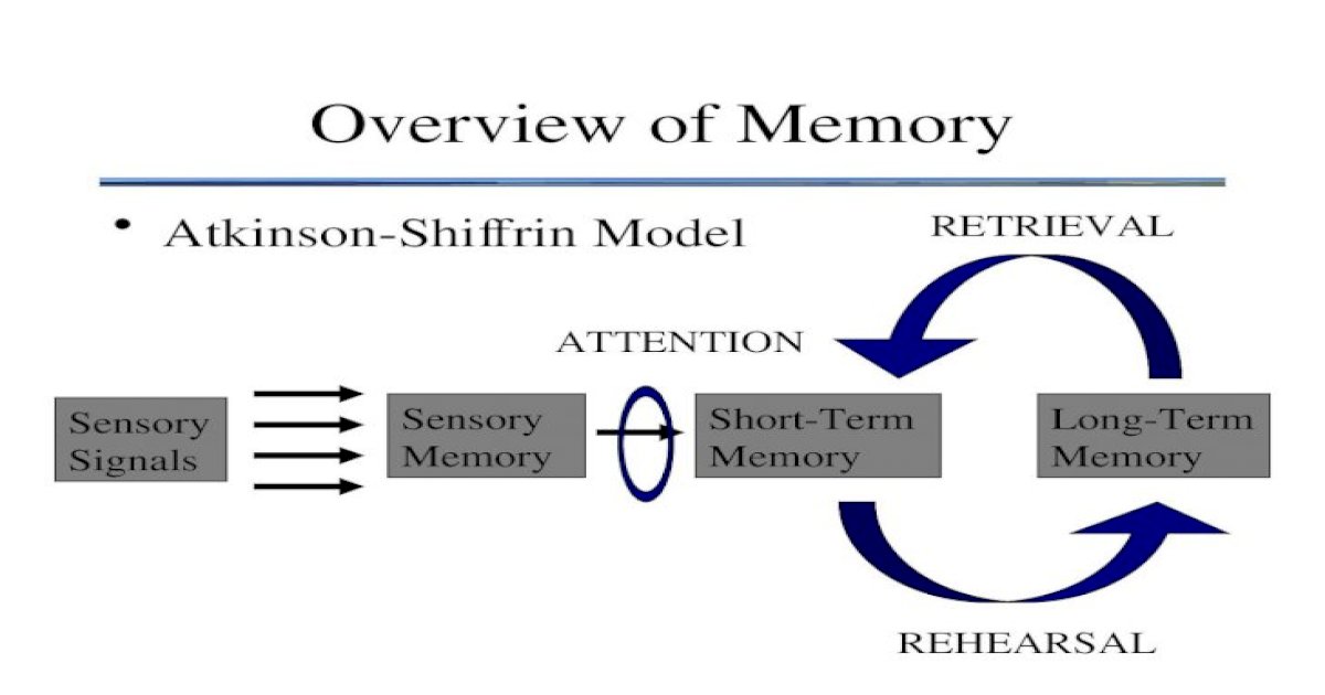 Overview of Memory Atkinson-Shiffrin Model Sensory Signals Sensory ...