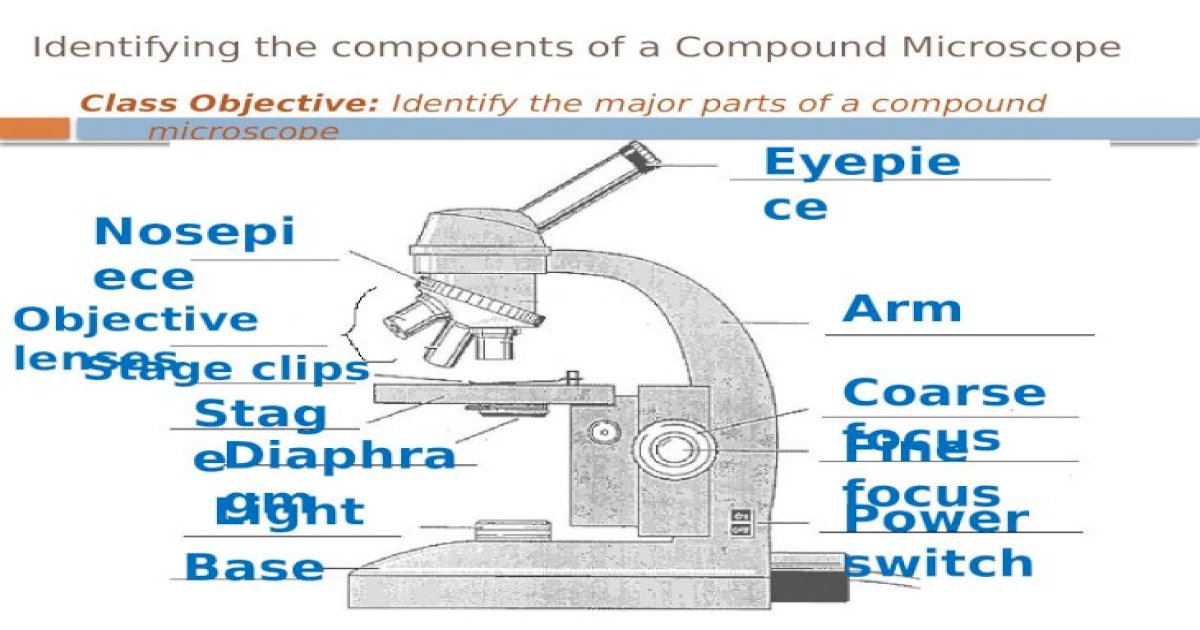 Identifying the components of a Compound Microscope - [PPTX Powerpoint]