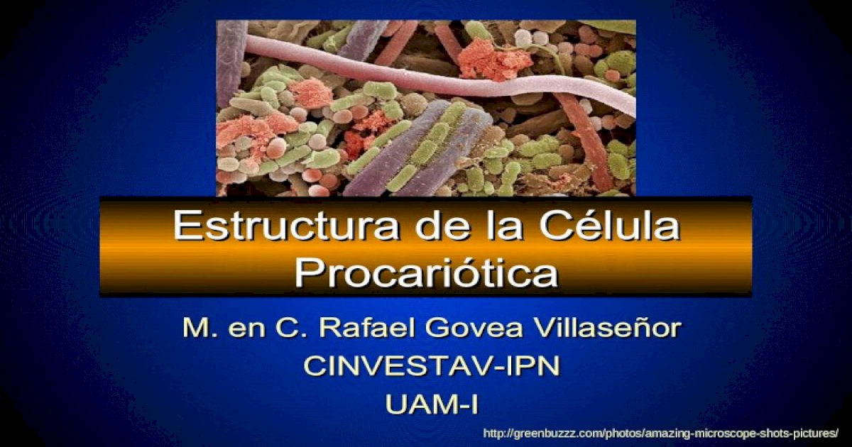 Estructura de la Célula Procariótica - [PDF Document]