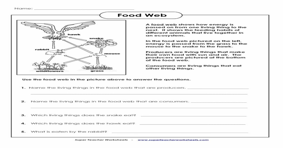 Food Web - Super Teacher Worksheets KEY Food Web A food web shows how ...