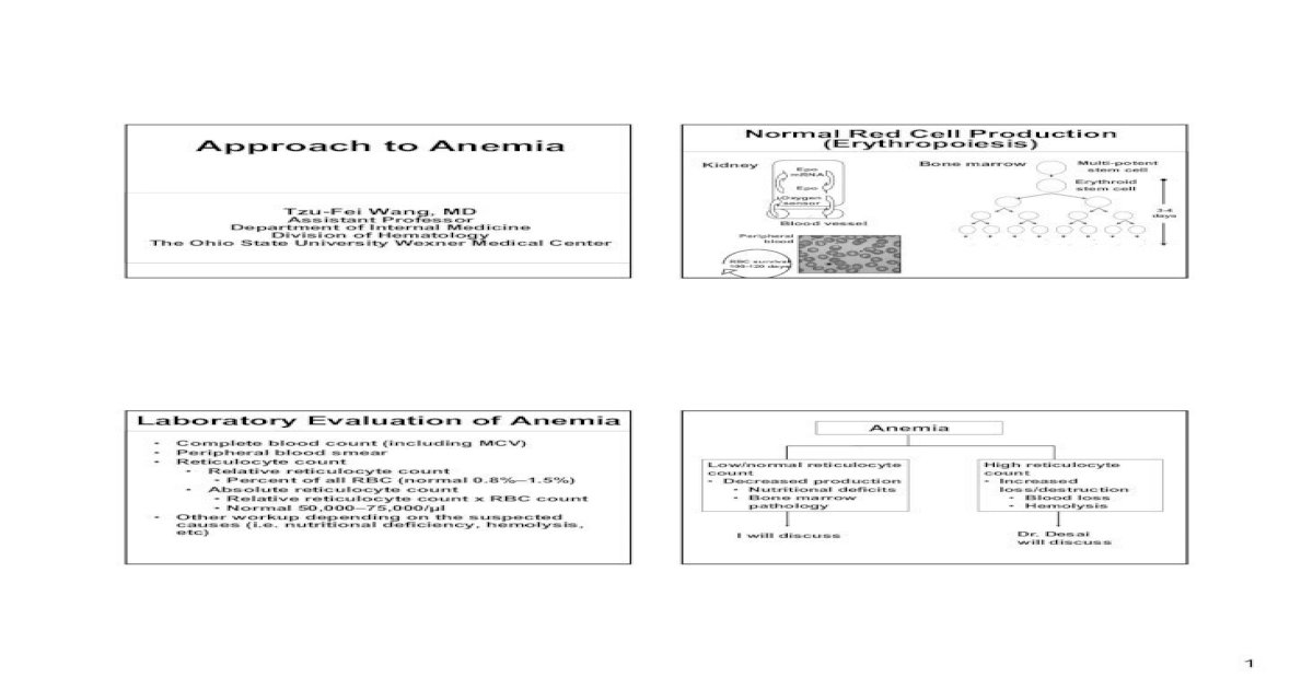 Approach To Anemia Final Handout To Anemia Final 4pdf2 Anemia With