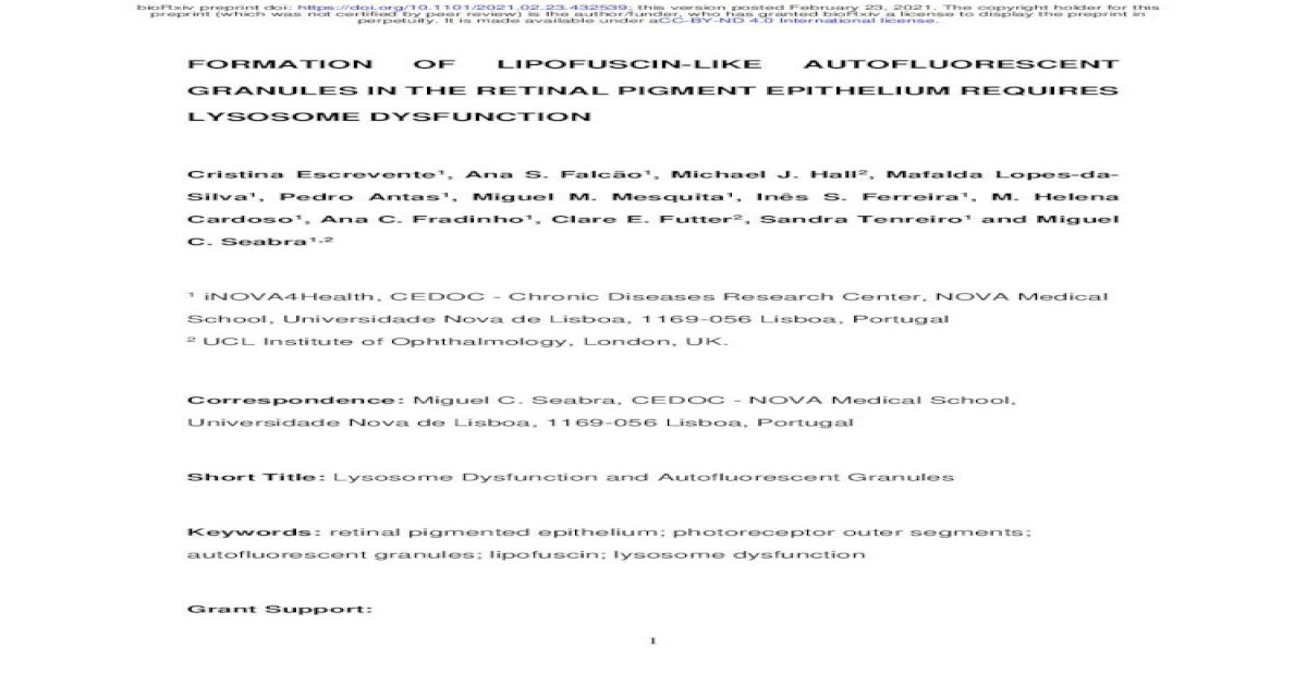 FORMATION OF LIPOFUSCIN-LIKE AUTOFLUORESCENT ......2021/02/23 · Figure ...