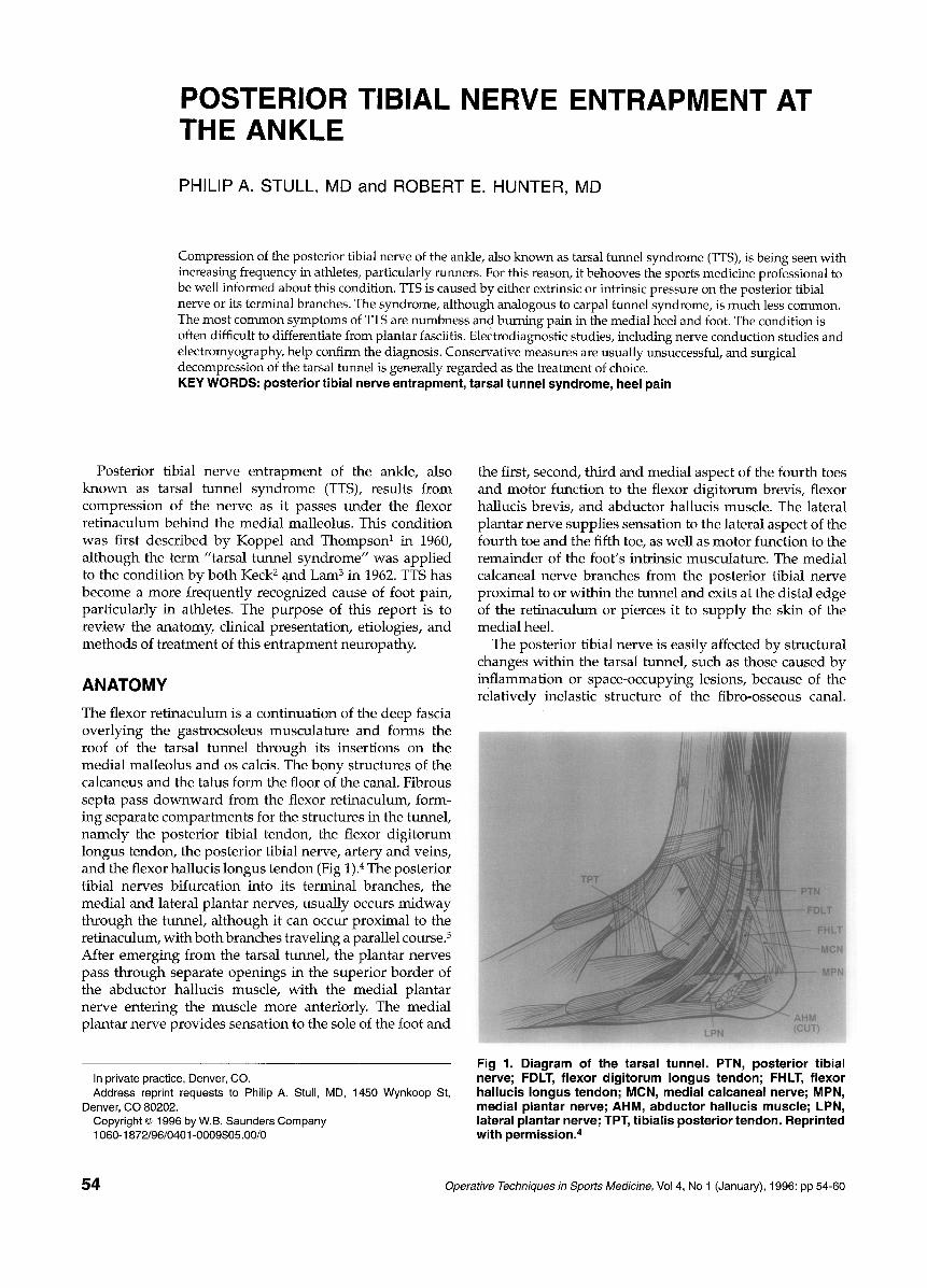 Posterior Tibial Nerve Entrapment At The Ankle Download Pdf