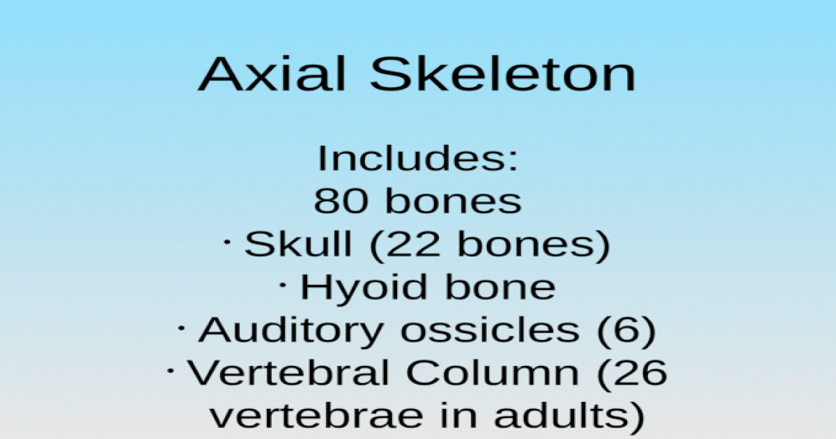Axial Skeleton Includes: 80 bones Skull (22 bones) Hyoid bone Auditory ...