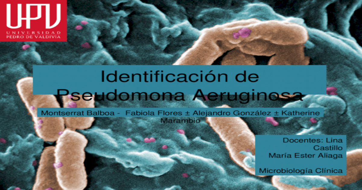 quiz 10 case study pseudomonas aeruginosa