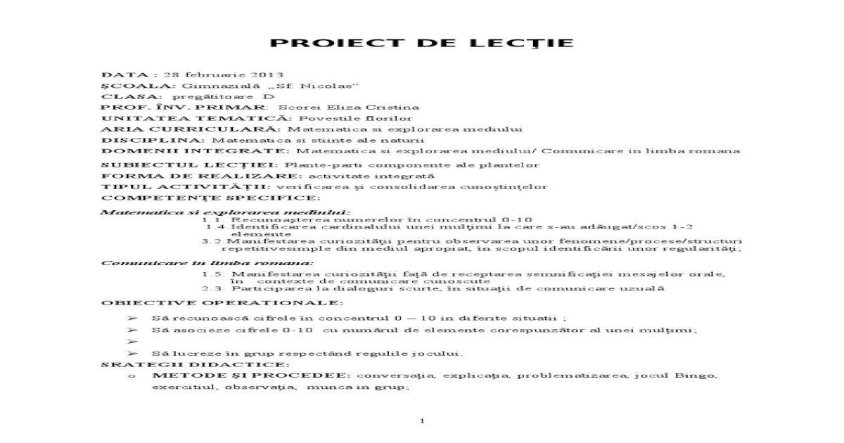 0 1 Proiect De Lectie Mem Pdf Document