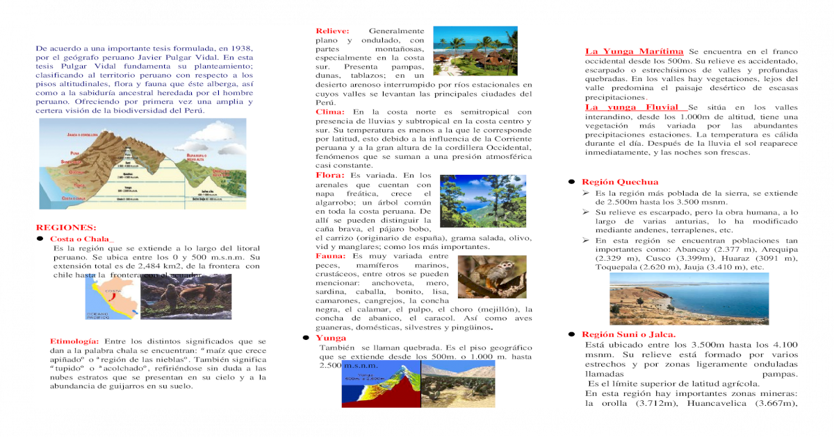 Triptico Departamento 8 Regiones Naturales Del Peru Docx Document