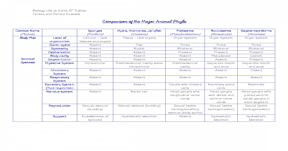 Animal Phyla Comparison Chart