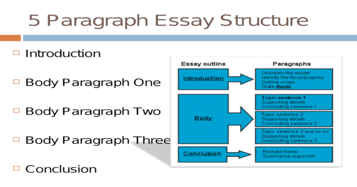 essay introduction body conclusion