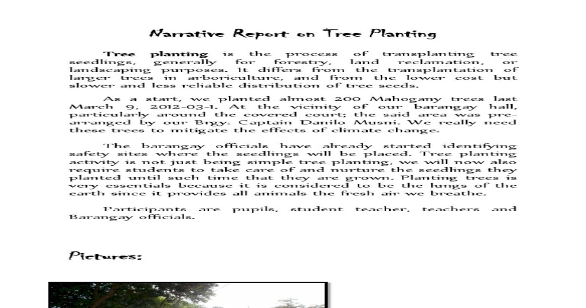 reflection essay about tree planting