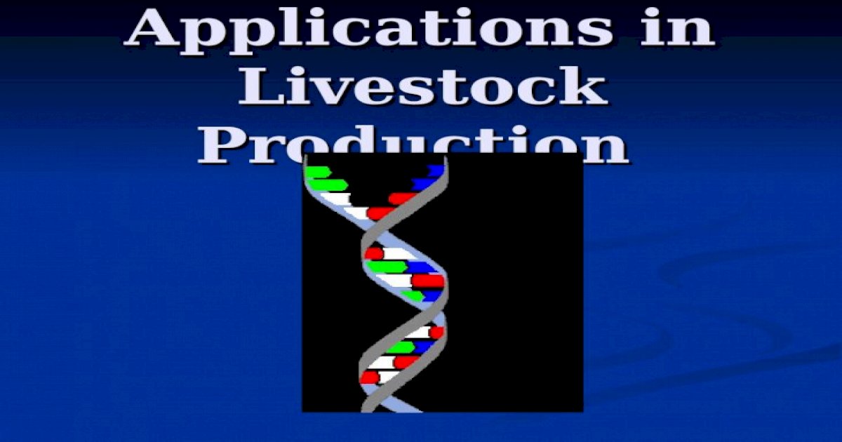 Biotech Applications in Livestock Production. Biotechnology Definition ...